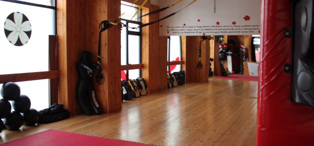 Dojo Shin Sui Dojo Shin Sui
