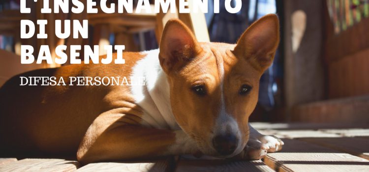 L’insegnamento di un Basenji L’insegnamento di un Basenji