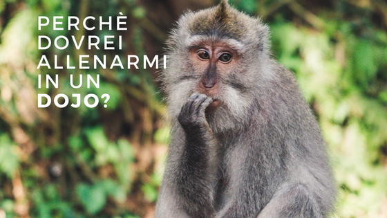 Perché allenarsi in un Dojo? Perché allenarsi in un Dojo?