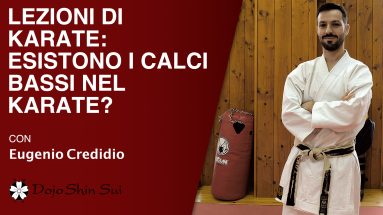 Oggi rispondo alla seconda domanda che mi ha fatto Federico: esistono i calci bassi nel karate? Se sei abituato a vedere video di karate in cui i praticanti scagliano 1000 calci al viso la risposta a questa domanda ti sorprenderà