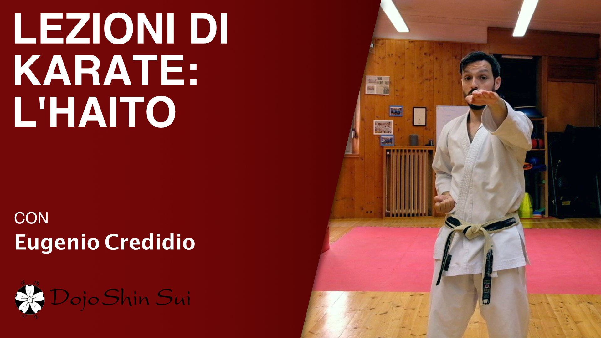 Lezioni di karate: l’haito