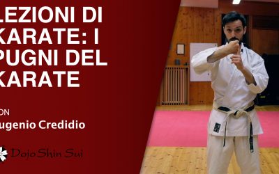 Lezioni di karate: i pugni del karate