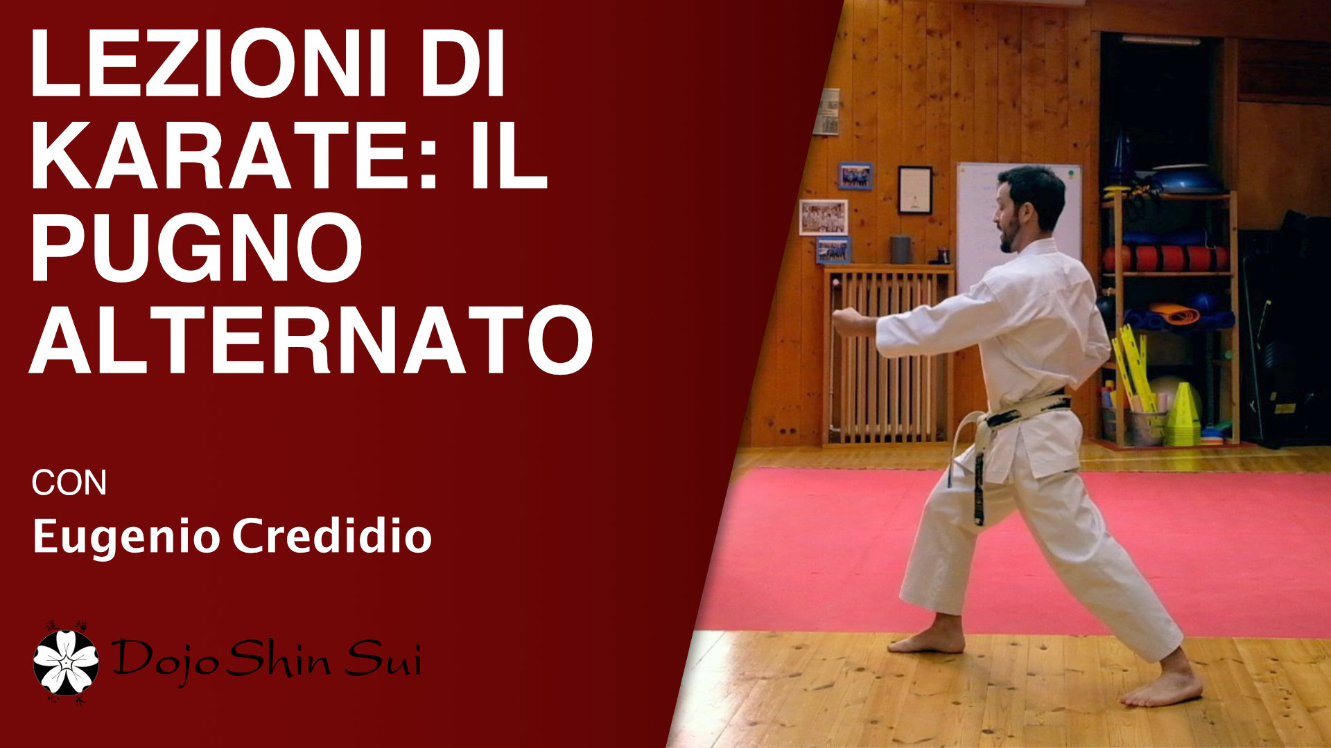 Lezioni di karate: il pugno alternato