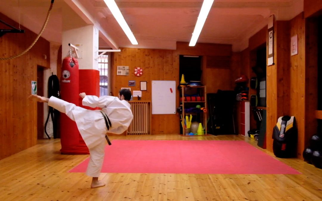 Lezioni di karate: lo shi ho geri
