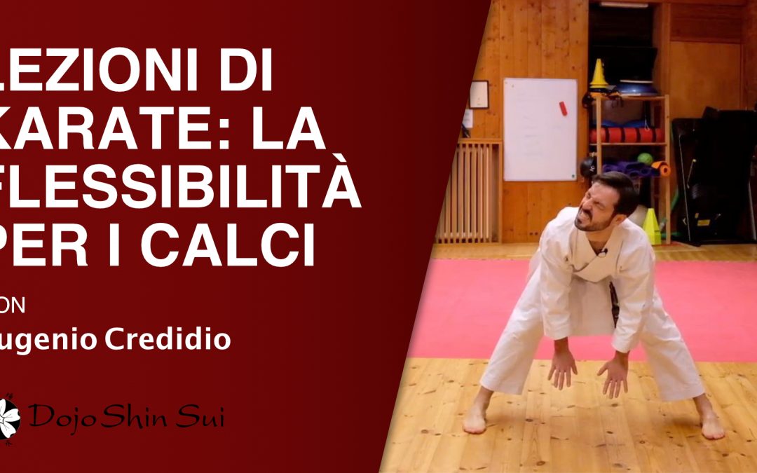 Lezioni di Karate: la flessibilità per i calci