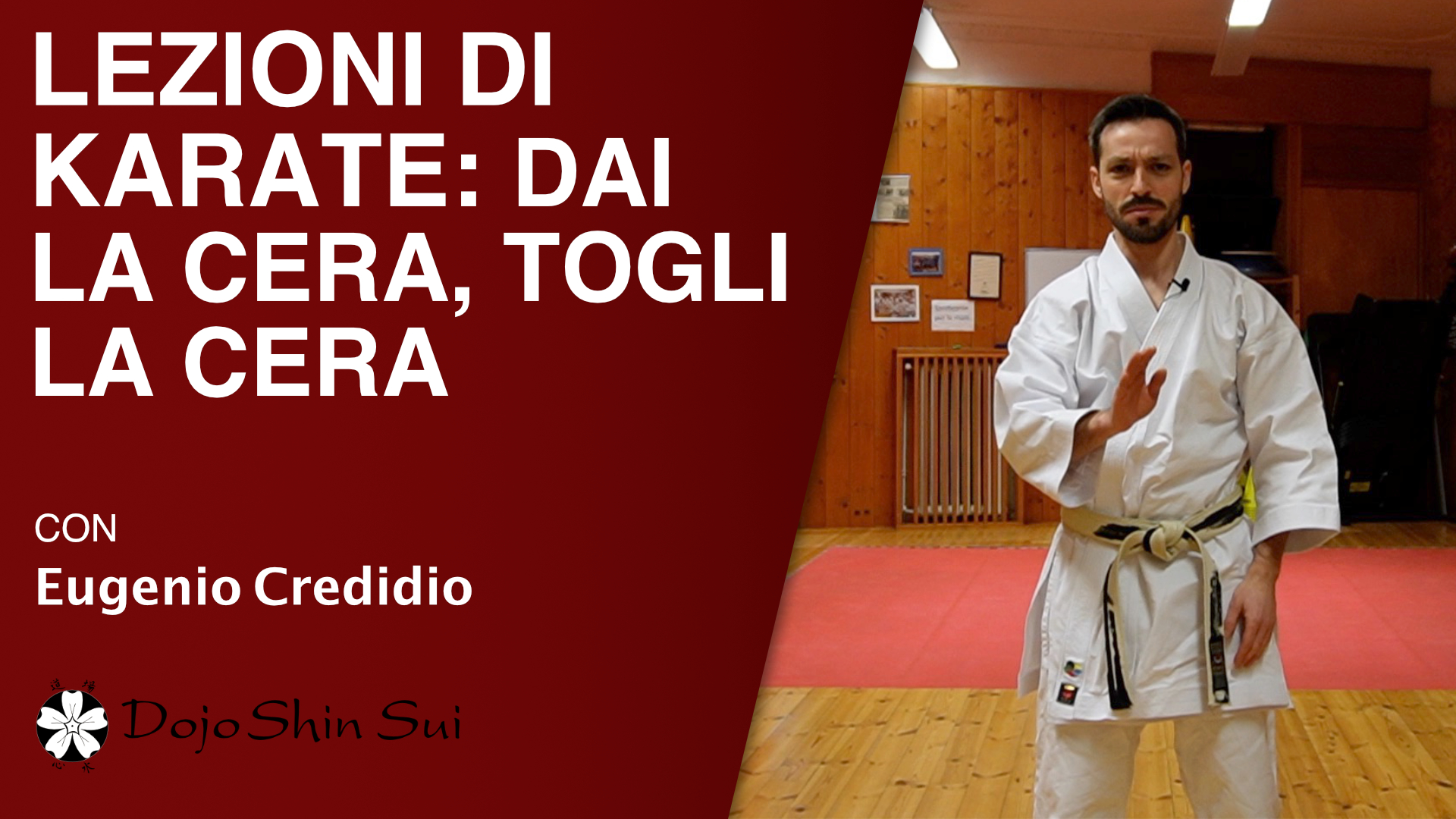Lezioni di karate: dai la cera, togli la cera