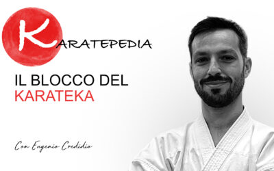 Il blocco del karateka