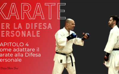 Karate per la Difesa Personale: come adattare il karate alla difesa personale