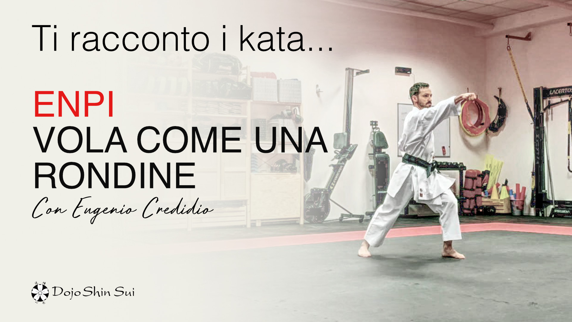 Il kata Enpi è un kata che chiede al praticante di karate di diventare rondine