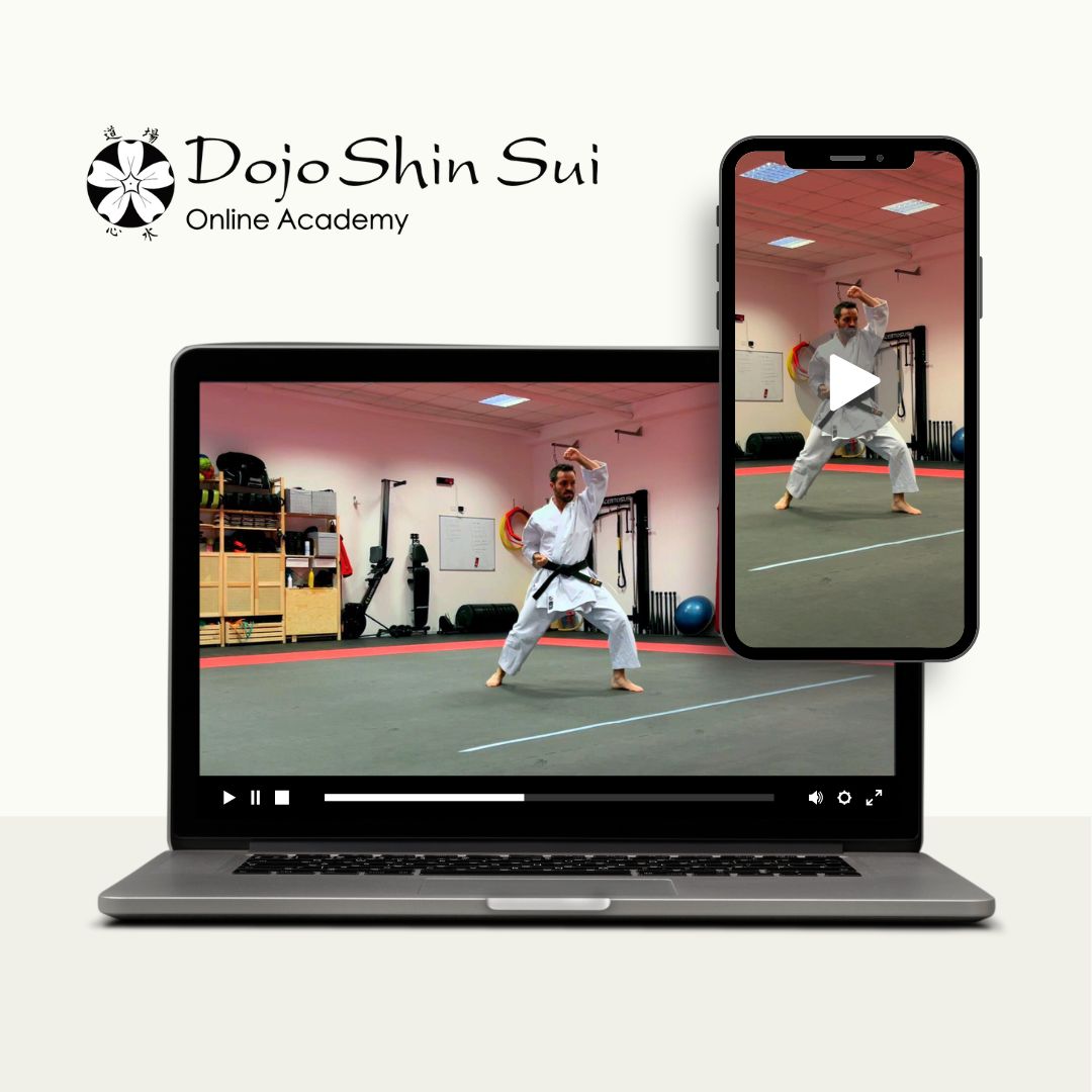 Video corsi Dojo Shin Sui Eugenio Credidio